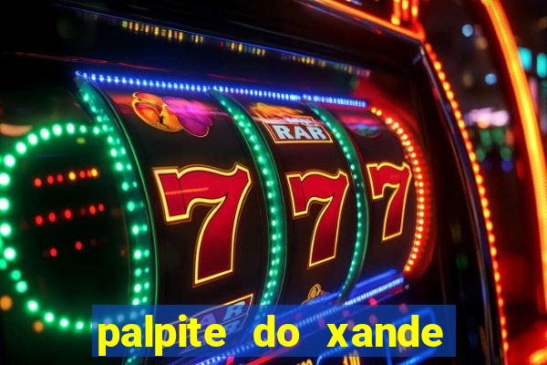 palpite do xande para hoje